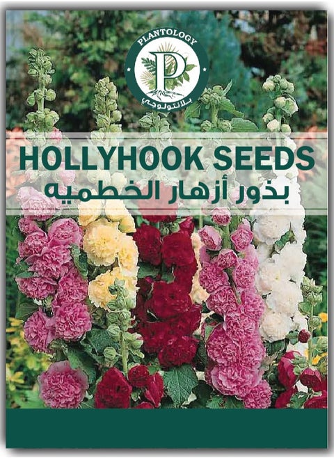 Hollyhock Seeds for Planting - 10+ Seeds - High Quality Natural Seeds for Planting