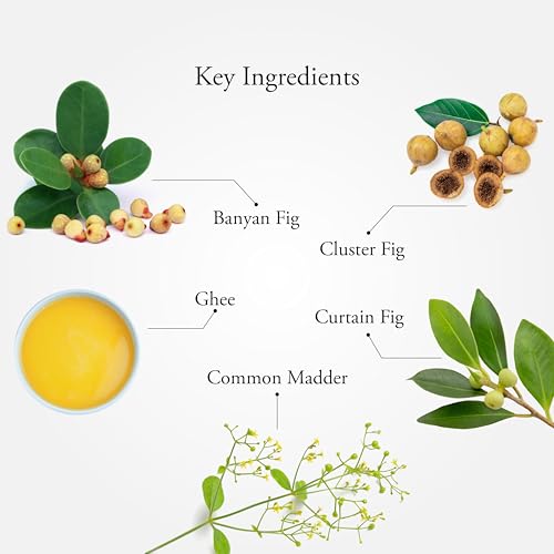 Sitaram Shathadhautha Ghritham 15gms | Shata Dhauta Ghrita | Effective Remedy For Burns And Blisters, Dry And Chapped Skin, Insect Sting And Bites - Image 3