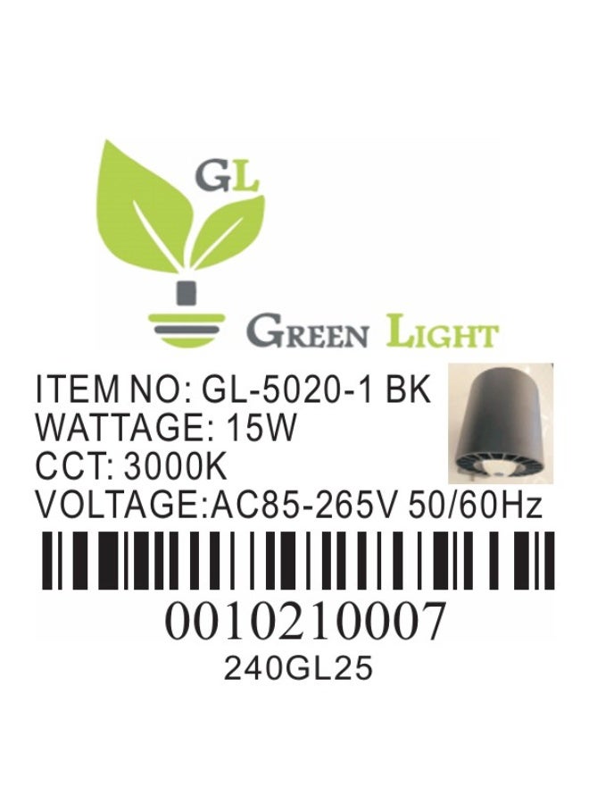 GREEN LIGHT OUT DOOR WALL LAMB 5020-1 - Image 4