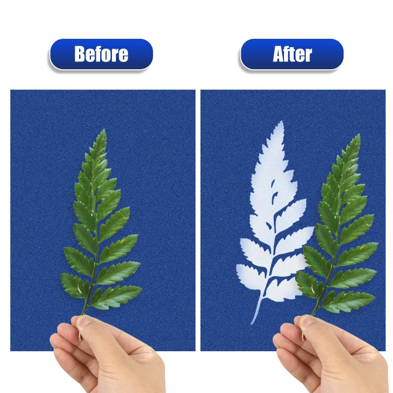 LIGHOON Sun Print Paper Kit Cyanotype Paper, 24 Sheets Cyanotype Papers with 1 Sheet Acrylic Panel, High Sensitive Nature Sun/Solar Activated Sun Printing Art Paper for Arts Crafts DIY Project - Image 4