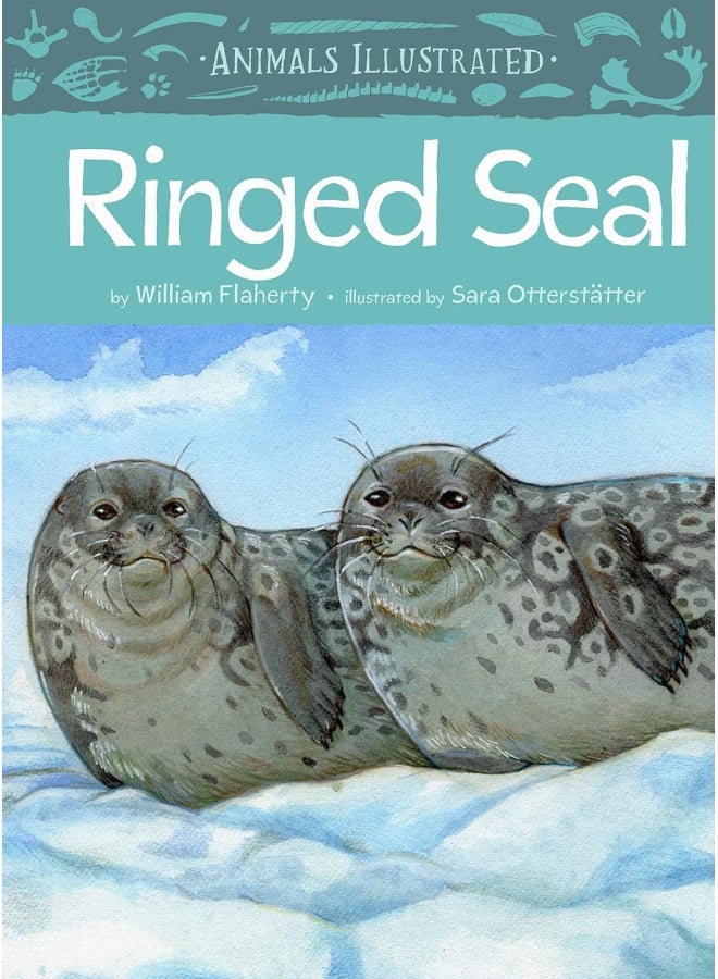 Animals Illustrated: Ringed Seal  - Image 4