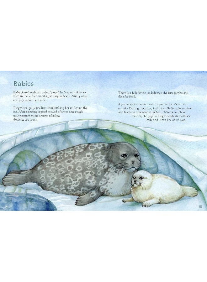 Animals Illustrated: Ringed Seal  - Image 1