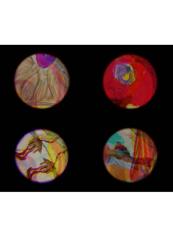 null - Moving Bodies, Moving Images - Image 1