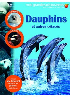 Dauphins et autres cétacés 