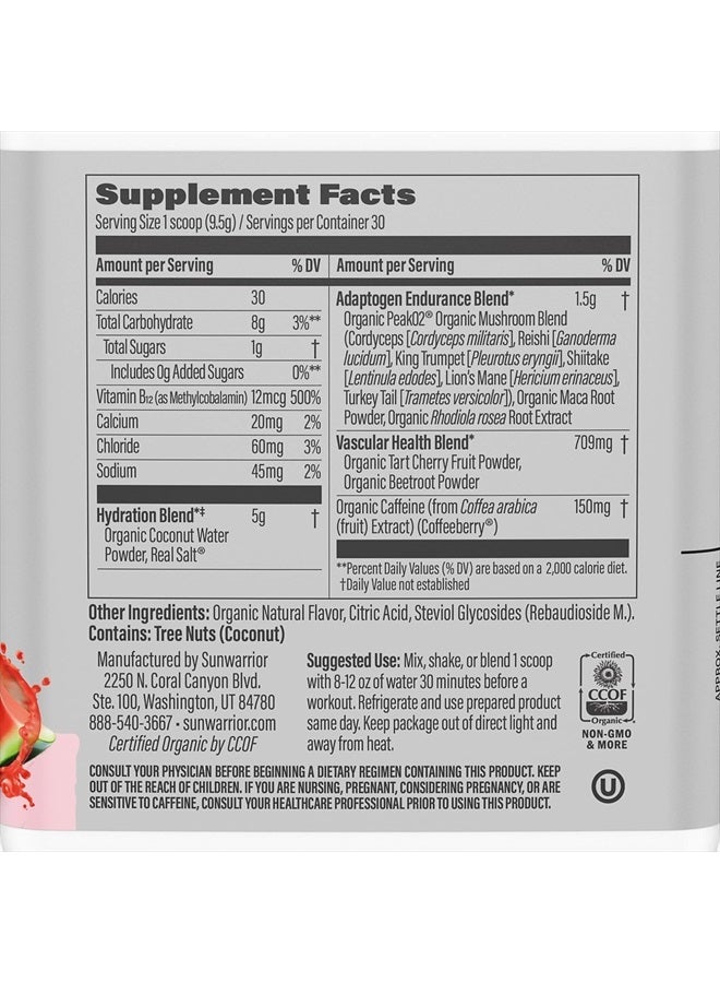 Sunwarrior مسحوق ما قبل التمرين المعتمد على النباتات | مزيج ترطيب | مزيج ماء جوز الهند والفطر خالي من الصويا خالي من السكر خالي من الغلوتين خالي من الألبان خالي من المواد الاصطناعية | موجة البطيخ 30 حصة | طاقة رياضية نشطة - Image 2