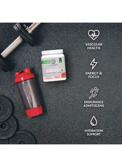 Sunwarrior Plant-Based Preworkout Powder Hydration Blend | Coconut Water Mushroom Blend Soy Free Sugar Free Gluten Free Dairy Free Synthetic Free | Watermelon Wave 30 Servings | Sport Active Energy  - Image 4