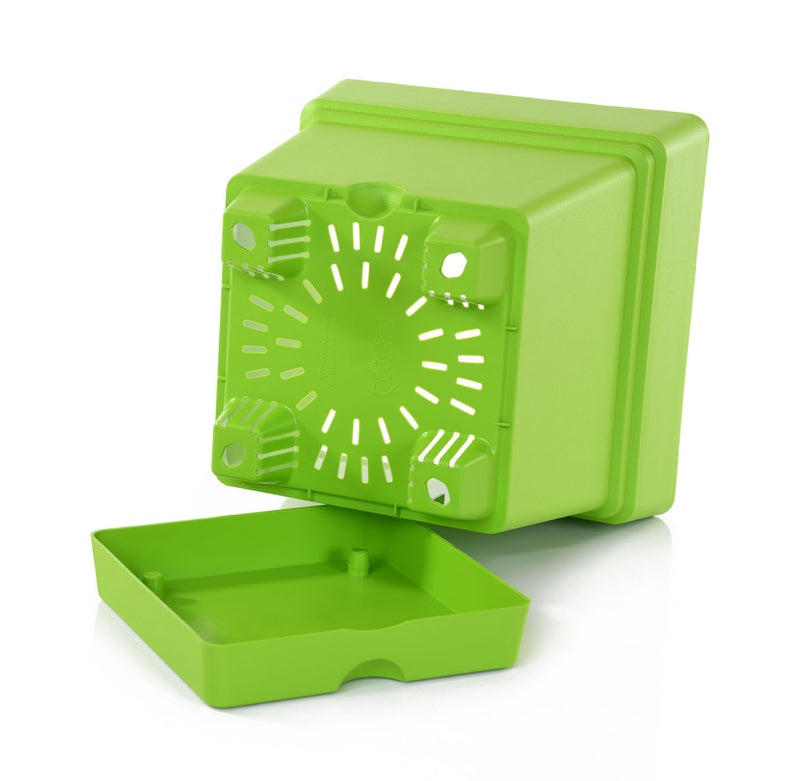 Mintra Square Flower Pot Planter with bottom tray - Plastic | Color - Light Green | Size - 18x18x18cm | Asthetically Decorate Your Terrace, Garden or Patio. Ideal for outdoor or indoors - Image 2