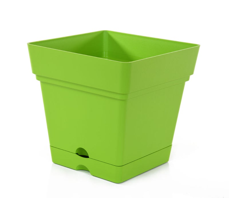 Mintra Square Flower Pot Planter with bottom tray - Plastic | Color - Light Green | Size - 18x18x18cm | Asthetically Decorate Your Terrace, Garden or Patio. Ideal for outdoor or indoors - Image 1