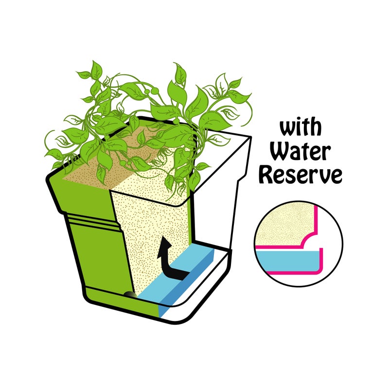 Mintra Square Flower Pot Planter with bottom tray - Plastic | Color - Light Green | Size - 18x18x18cm | Asthetically Decorate Your Terrace, Garden or Patio. Ideal for outdoor or indoors - Image 3