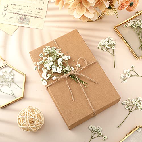 Coume 300 Pcs Mini Dried Babys Breath Flowers Pressed Babys Breath Ivory White Dried Flowers Bulk Natural Gypsophila for Wedding Invitation Bridal Scrapbook Bookmark DIY Art Crafts Card Resin Candle - Image 4