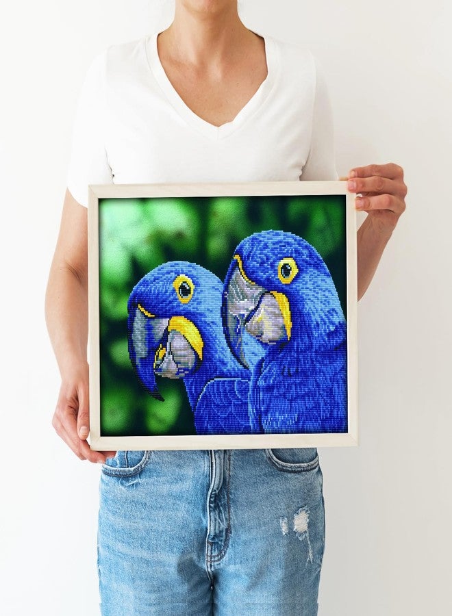 DIAMOND DOTZ Blue Hyacinth Macaws Diamond Painting Kits for Adults - Diamond Art Kits a Relaxing Creative Craft Kit with Dotz Gems 14.6x20.5 - Image 4