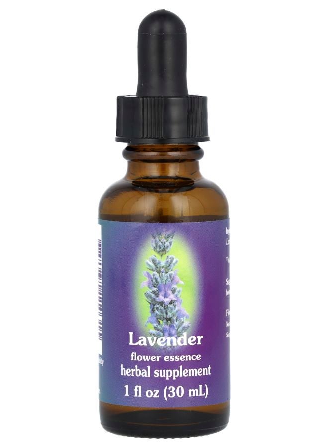 Flower Essence Lavender 1 fl oz (30 ml)