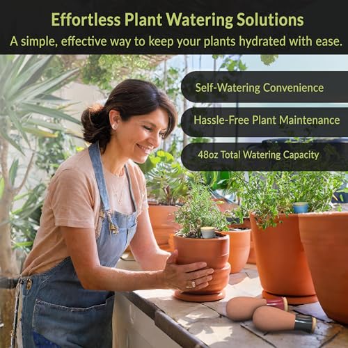 SmartiLiving Ollas (Set of 4) | 12oz Terracotta Plant Watering Globes - Self Watering Planter Insert - Automatic Plant Watering Devices | Vacation Watering Pots for Indoor & Outdoor Plants - Image 5