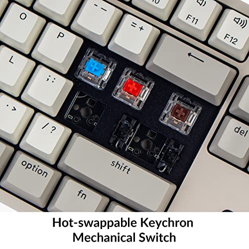 Keychron C2 Full Size Hot-swappable Wired Mechanical Keyboard Compatible with Mac, Keychron Brown Switch, 104 Keys ABS Retro Color Keycaps Gaming Keyboard for Windows, USB-C Type-C Braid Cable - Image 4