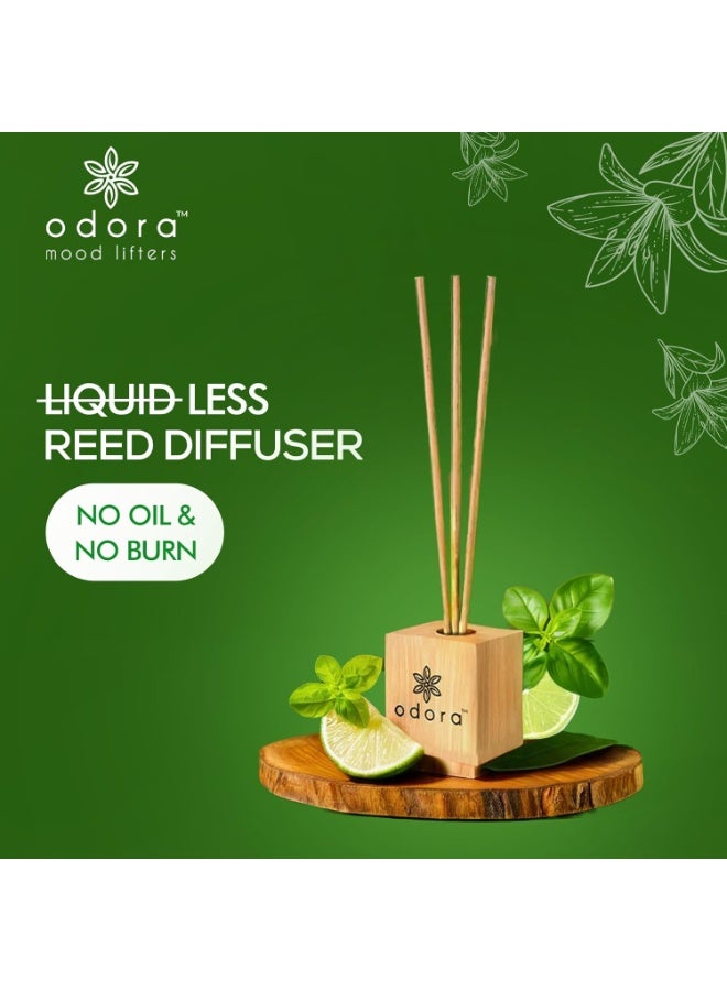Odaro Liquidless Reed Diffuser - Lime & Basil, Infused with Essential Oils, Long Lasting Fragrance Lasts Upto 30 Days, No Burn No Oil, Biodegradable, Room Freshener for Home, 6 Wooden Reeds - Image 2