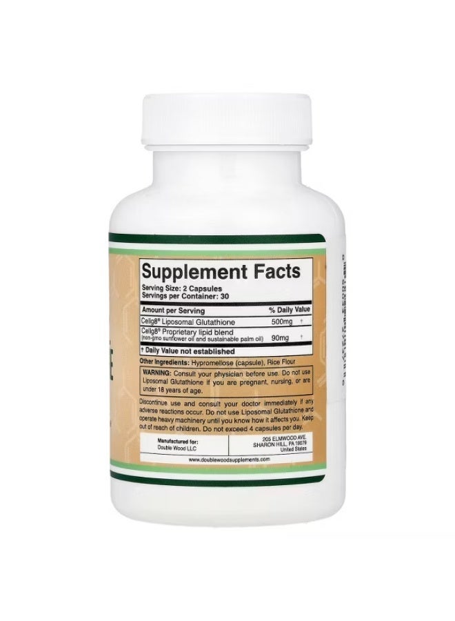 Double Wood Supplements مكمل الجلوتاثيون الليبوزومي 500 مجم لكل وجبة، 60 كبسولة (آمن نباتي، مصنع في الولايات المتحدة الأمريكية، خالٍ من الكائنات المعدلة وراثيًا) أقصى امتصاص الجلوتاثيون الليبوزومي برائحة وطعم أصليين من شركة Double Wood - Image 2