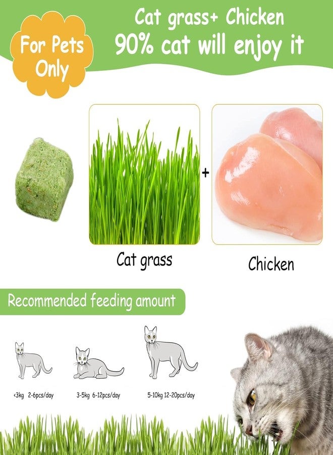 HavenJanny 120g Freezed Drying Cat Grass Treats for Cats, Cat Grass Teething Stick Snacks for Cats Hairball Removal and Teeth Cleaning - Image 2