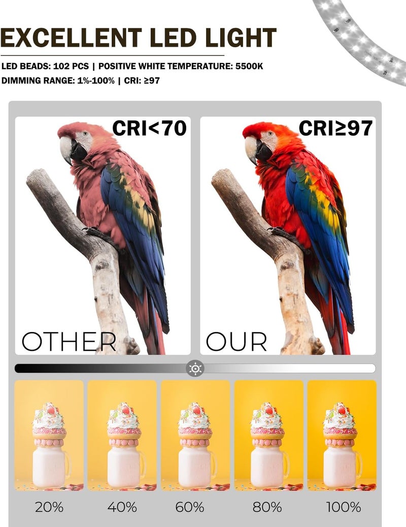 PULUZ 9.8"/25cm Foldable Portable Photo Studio Light Box, Adjustable Brightness Light Box Photography Lighting Shooting Tent Kit, with LED Lights and 12 Colors Backdrop - Image 2