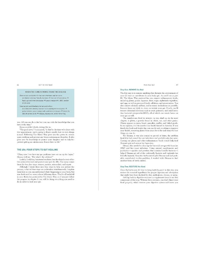 The Autoimmune Solution: Prevent and Reverse the Full Spectrum of Inflammatory Symptoms and Diseases  - Image 5