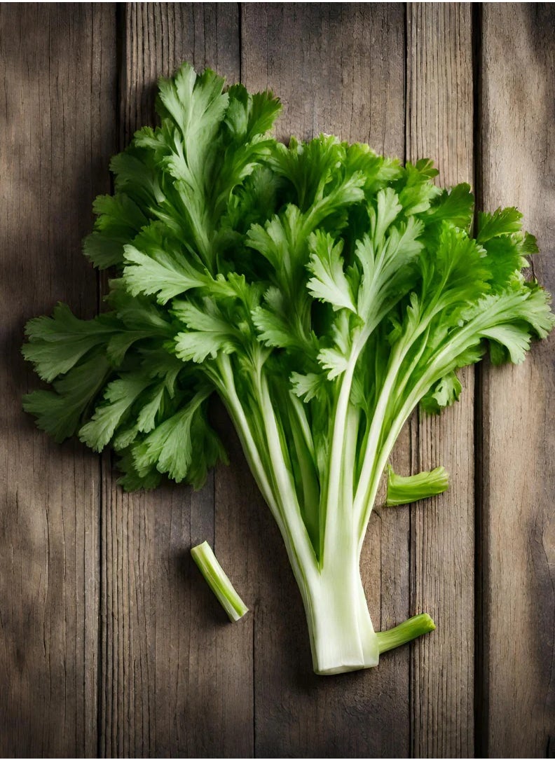 GROW - Celery seeds - Al Fajr - Image 1