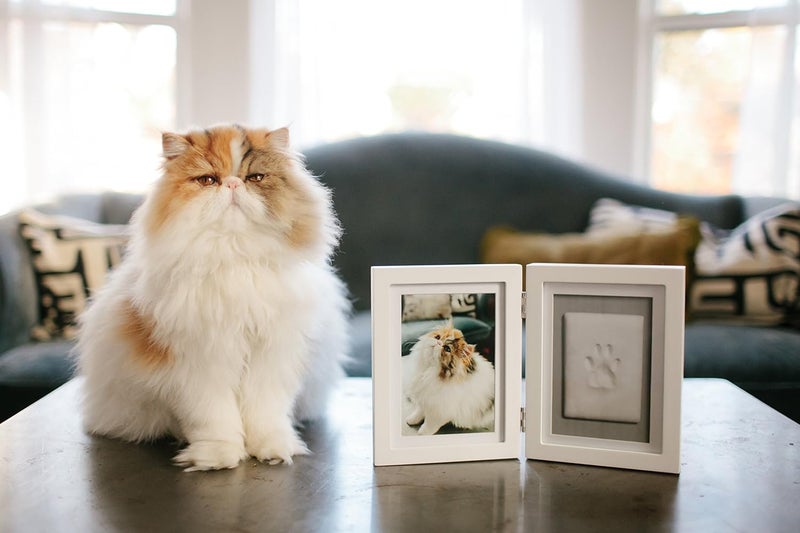pearhead Pet Paw Print Photo Frame With Clay Imprint Kit, Pawprint Making Kit, Cat Or Dog Memorial Keepsake Gift, Pet Home Décor, Wooden Tabletop Picture Frame, Solid White - Image 5