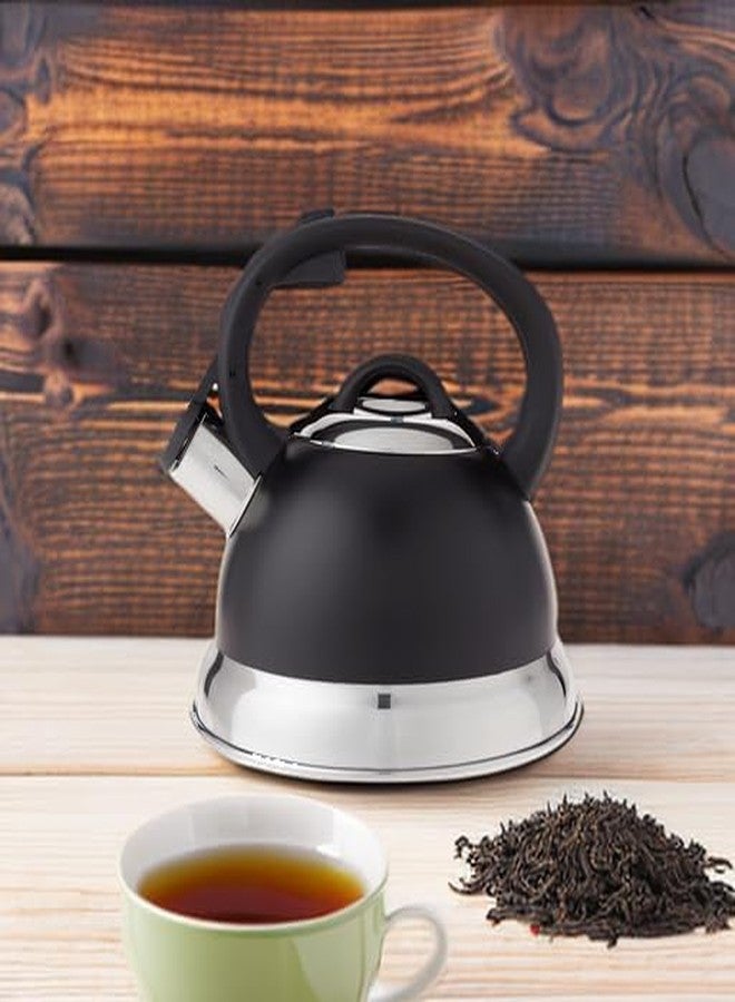 مستر كوفي غلاية شاي مستر كوفي فلينتشاير المصنوعة من الفولاذ المقاوم للصدأ مع صفارة ومقبض نايلون، سعة 1.75 كوارت، لون أسود مطفي - Image 5