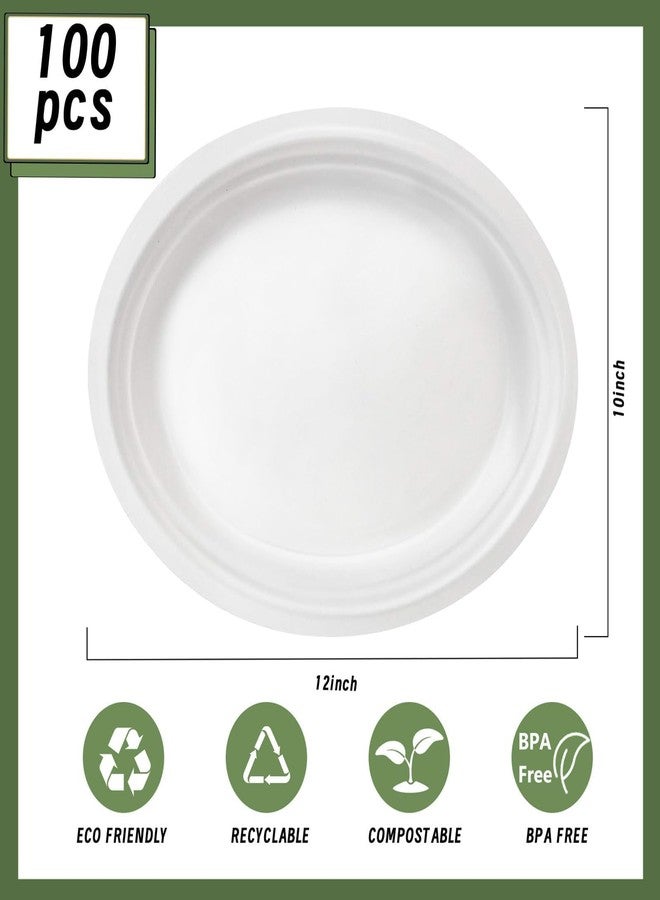 VEIZEDD 100 Pcs Compostable Oval Paper Plates 12 Inch - Heavy Duty Bagasse Platters - Biodegradable White Plates,Eco-Friendly Disposable Dinner Platters for BBQ,Picnic,Wedding,Party Easter, Independence Day - Image 2