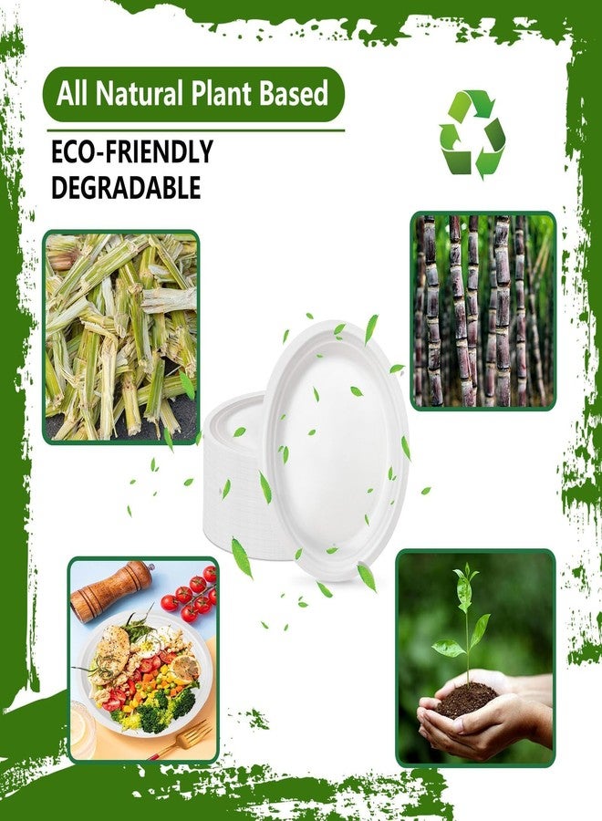 VEIZEDD 100 Pcs Compostable Oval Paper Plates 12 Inch - Heavy Duty Bagasse Platters - Biodegradable White Plates,Eco-Friendly Disposable Dinner Platters for BBQ,Picnic,Wedding,Party Easter, Independence Day - Image 3