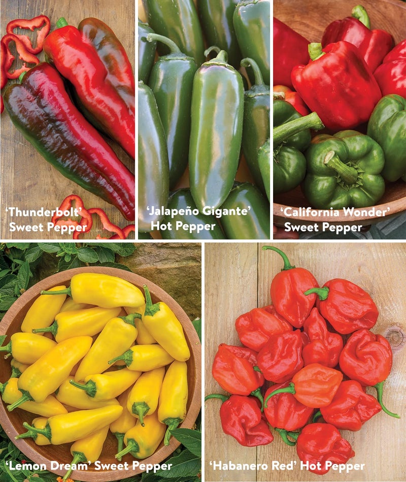 Burpee Best Collection | 10 Packets of Non-GMO Fresh Mix of Hot Pepper & Sweet Varieties | Jalapeno, Bell Pepper Seeds & More, Seeds for Planting - Image 5