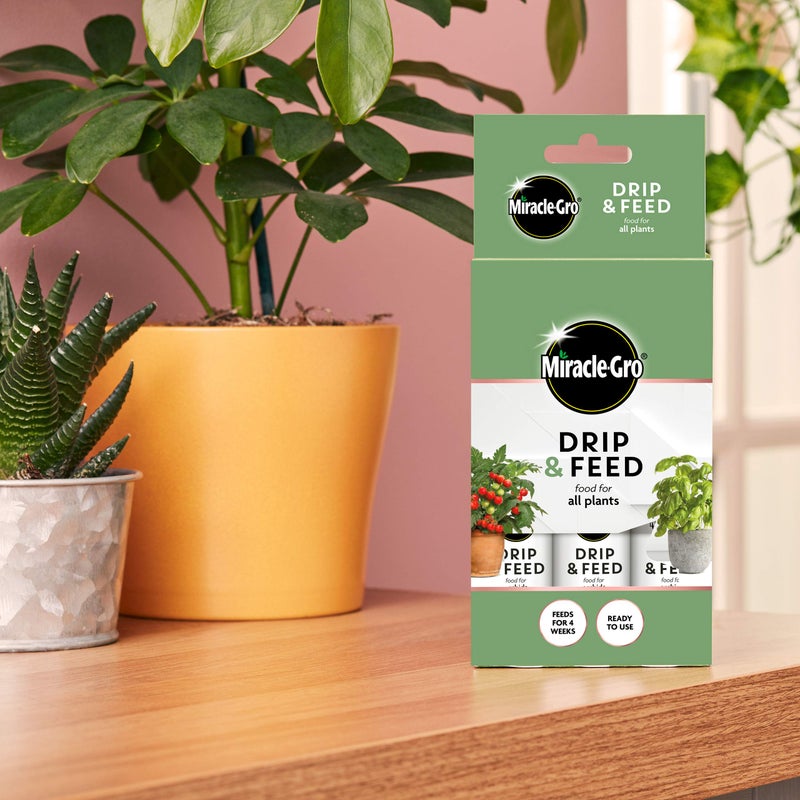 Miracle-Gro Drip & Feed All Purpose Houseplant Food. 3 Pack - Image 3