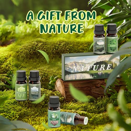 SALUBRITO Nature Fragrance Oils Set, Essential Oils Set - Forest Pine, Ocean Breeze, Rain, Fresh Cut Grass, Mountain Air, Bamboo, Premium Scented Oil for Diffuser, Candle, Soap Making - Image 2