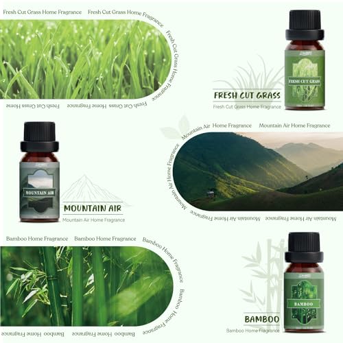 SALUBRITO Nature Fragrance Oils Set, Essential Oils Set - Forest Pine, Ocean Breeze, Rain, Fresh Cut Grass, Mountain Air, Bamboo, Premium Scented Oil for Diffuser, Candle, Soap Making - Image 4