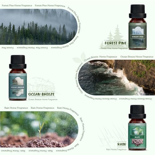 SALUBRITO Nature Fragrance Oils Set, Essential Oils Set - Forest Pine, Ocean Breeze, Rain, Fresh Cut Grass, Mountain Air, Bamboo, Premium Scented Oil for Diffuser, Candle, Soap Making - Image 3