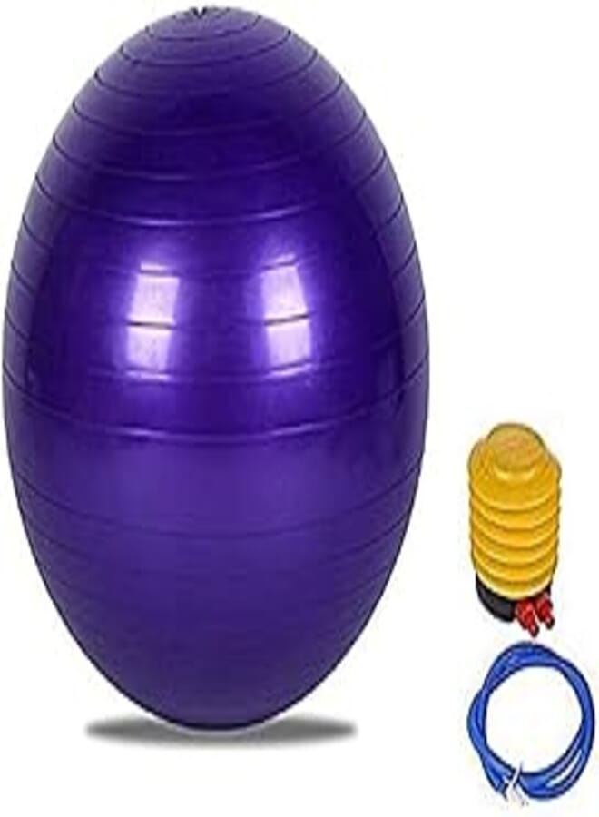 Pro Hanson Gym Ball With Pump 75 cm-125 kilos, Mauve