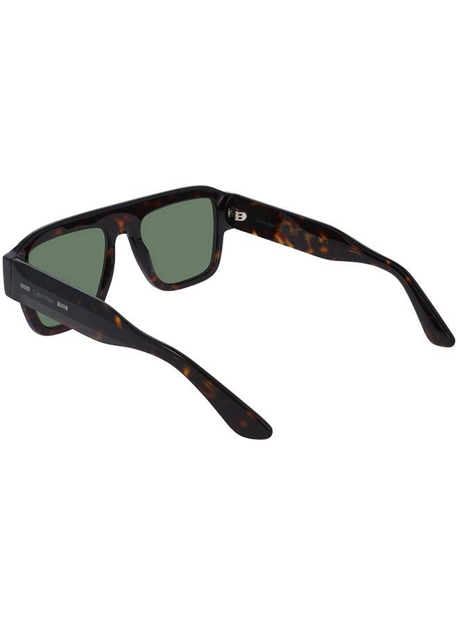 CALVIN KLEIN نظارات شمسية كاملة الإطار من أسيتات كالفن كلاين CK25509S 5420 (235) داكن هافانا - Image 2