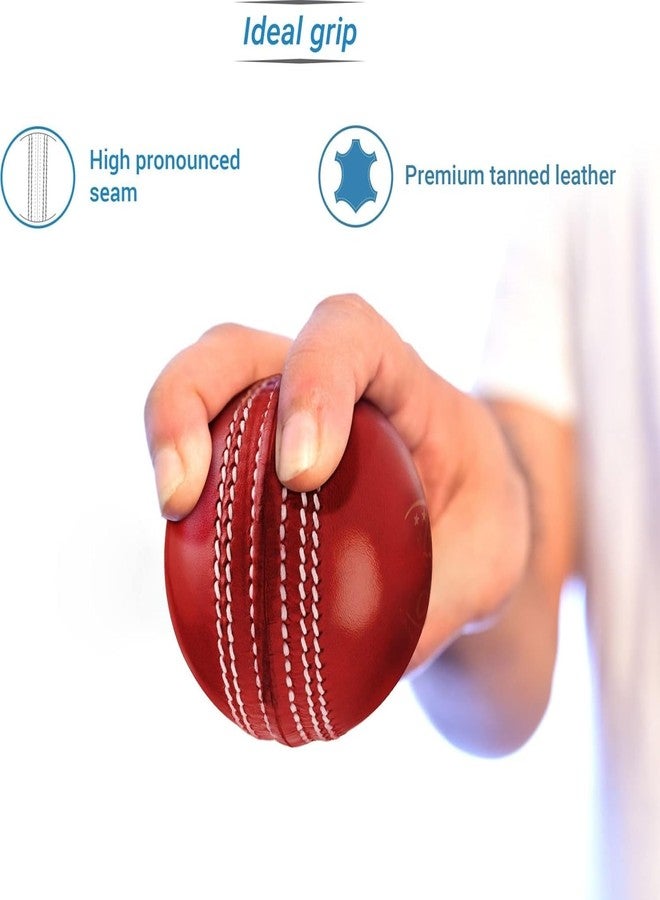 RDS Red Leather Club Cricket Ball - Image 3