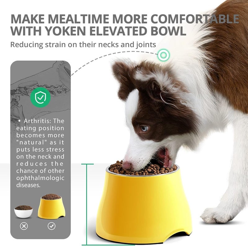 iPower yoken Elevated Dog Bowls, [Prevention of Vertebrae Disease] [Super Non-Slip] Dog Bowl with Stainless Steel Bowl, High Capacity Dog Food Bowls, Colorful Raised Dog Bowls for Medium/Small Size Dogs - Image 2