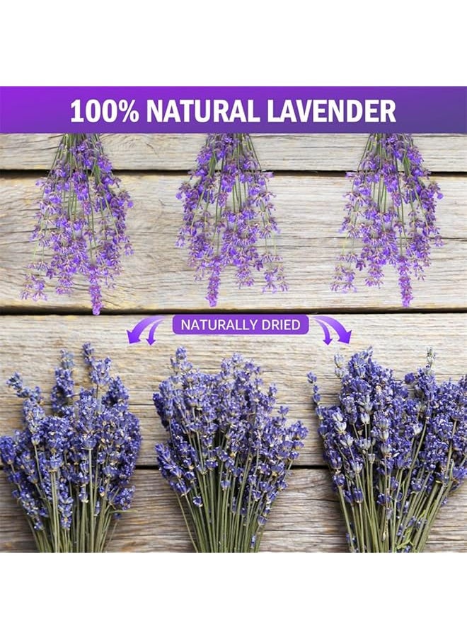 erorex Dried Lavender Bundles Natural Dried Lavender Flowers Dried Preserved Lavender Bouquet 23 27 Inch Fragrance Fresh Plants For Home Decoration Photo Props Home Fragrance  - Image 2