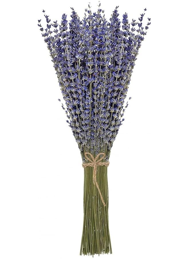 erorex Dried Lavender Bundles Natural Dried Lavender Flowers Dried Preserved Lavender Bouquet 23 27 Inch Fragrance Fresh Plants For Home Decoration Photo Props Home Fragrance  - Image 1