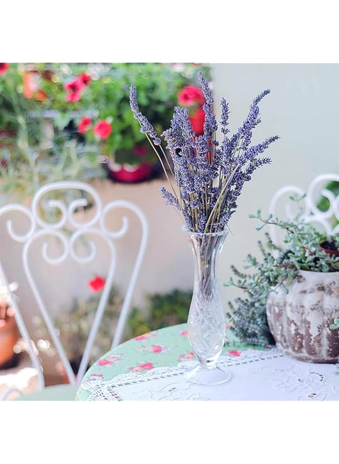 erorex Dried Lavender Bundles Natural Dried Lavender Flowers Dried Preserved Lavender Bouquet 23 27 Inch Fragrance Fresh Plants For Home Decoration Photo Props Home Fragrance  - Image 5