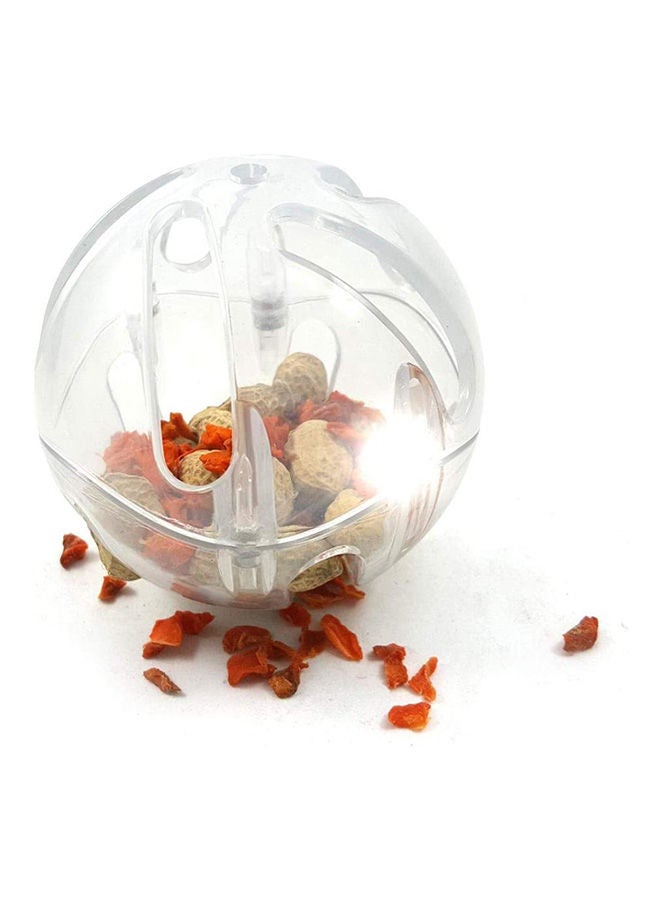 NIBEMINENT Parrots Toys Pet Bird Parrot Intelligence Food Ball Feeder With Bell Hanging Birds Foraging Chain Cage Ac Cessories Clear  - Image 2
