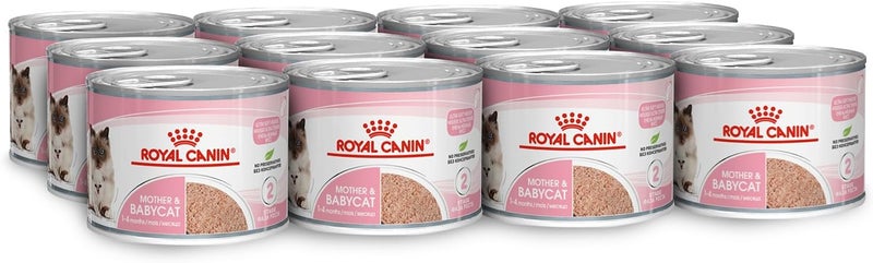 ROYAL CANIN طعام رويال كانين الرطب للأم والقطط الصغيرة - 195 جرام، عبوة من 12 - Image 1