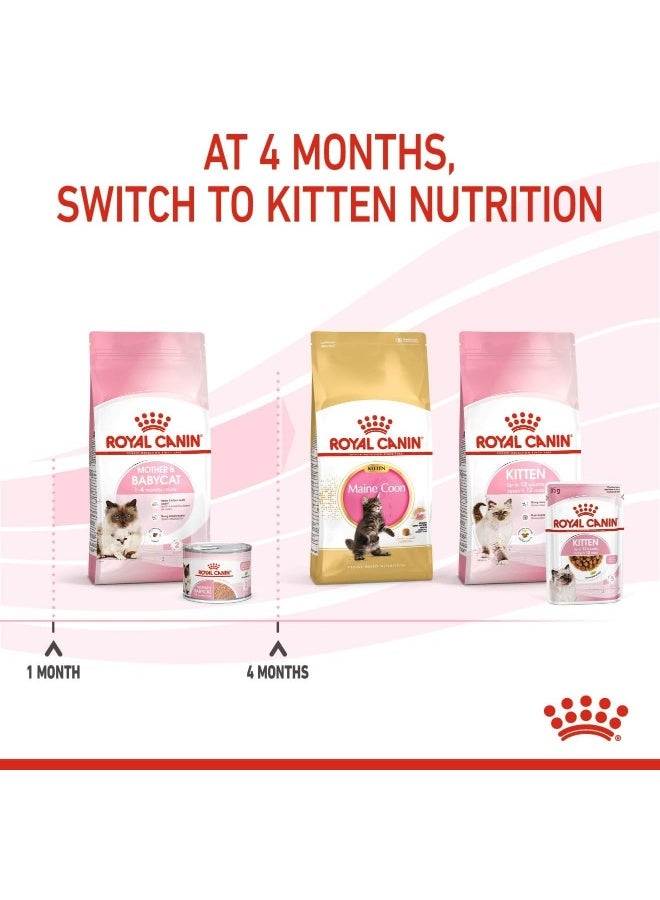 ROYAL CANIN طعام رويال كانين الرطب للأم والقطط الصغيرة - 195 جرام، عبوة من 12 - Image 3