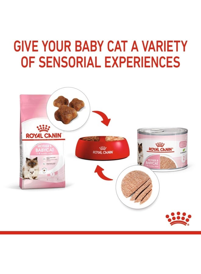 ROYAL CANIN طعام رويال كانين الرطب للأم والقطط الصغيرة - 195 جرام، عبوة من 12 - Image 2