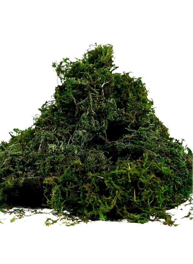 لينجوي طحلب صناعي، عشب أخضر مزيف، لقطع مركزية، ديكور حديقة مطبخ المنزل - Image 1