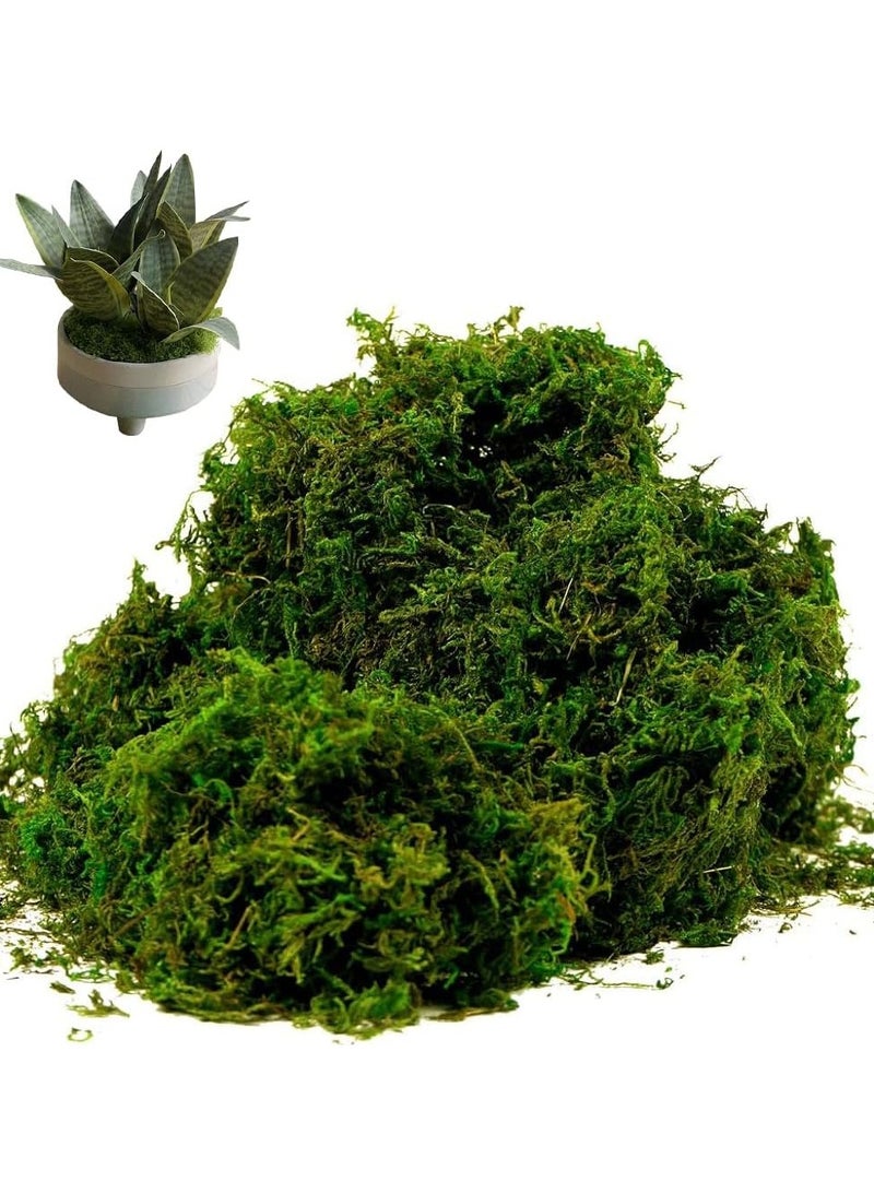 لينجوي طحلب صناعي، عشب أخضر مزيف، لقطع مركزية، ديكور حديقة مطبخ المنزل - Image 3