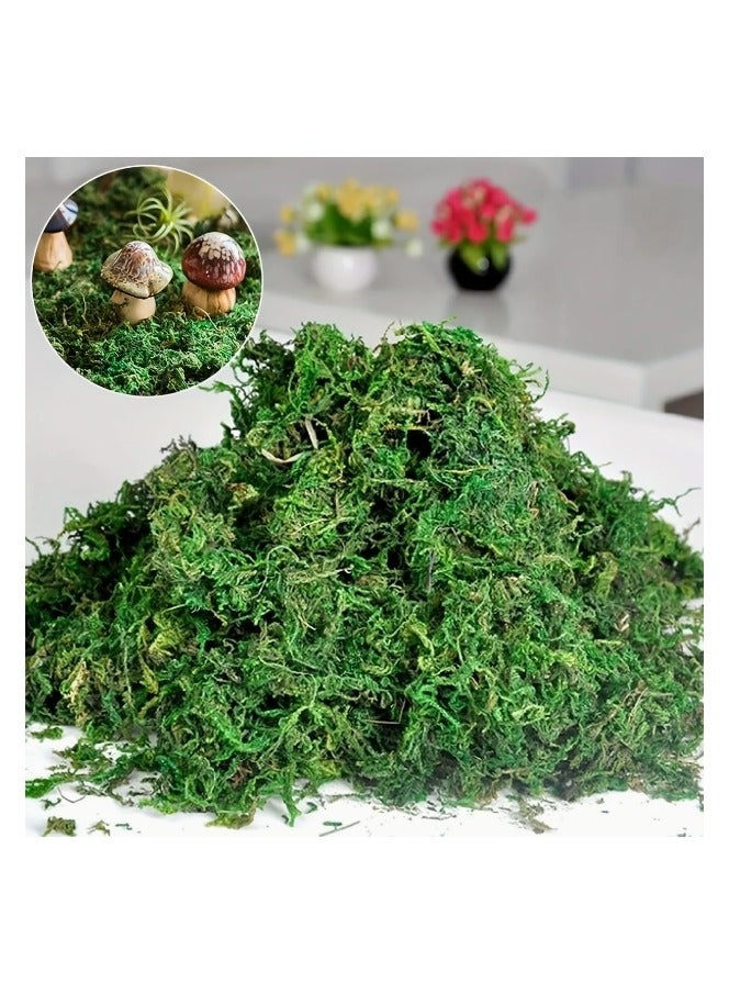 لينجوي طحلب صناعي، عشب أخضر مزيف، لقطع مركزية، ديكور حديقة مطبخ المنزل - Image 4