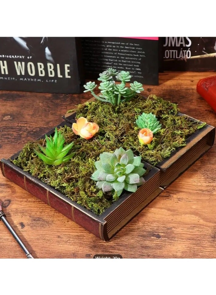 لينجوي طحلب صناعي، عشب أخضر مزيف، لقطع مركزية، ديكور حديقة مطبخ المنزل - Image 5