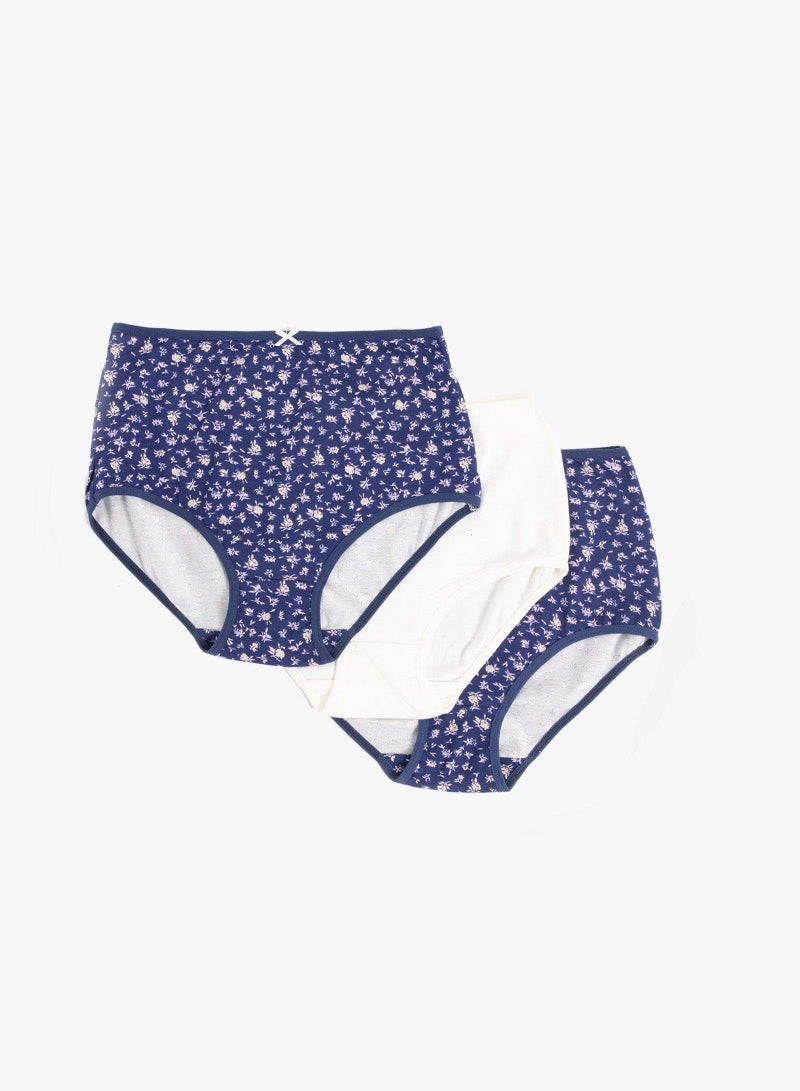 Pack of 3 Colored Full Brief Panties
