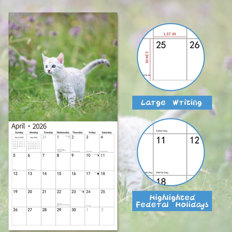 windrio 2026 Wall Calendar,Calendar 2026, November 2025 - December 2026, Wall Calendar Kittens, 12" x 24" Opened,Full Page Months Thick & Sturdy Paper for Gift Perfect Calendar Organizing & Planning - Image 3